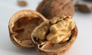 Целебные свойства грецкого ореха