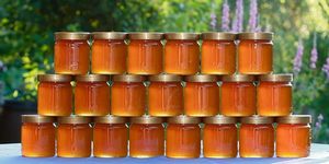 Горный мед, полезные свойства и состав, способы применения, советы по хранению, где можно купить, стоимость