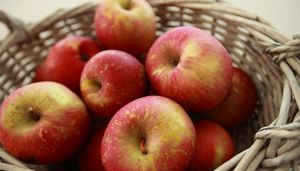 Яблочная диета с кефиром и уксусом для похудения на 10 кг за неделю