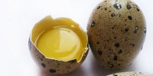 Яйца — ценный продукт