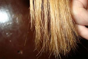 Как сделать мягкими жесткие волосы