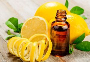 Масло лимона: лечебные свойства и применение эфирного масла лимона