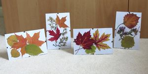 Поделки из листьев на тему осень своими руками: инструкции для детей с фото и видео