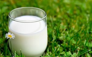 Полезные свойства молока