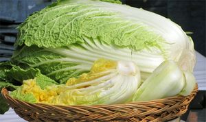 Салат из пекинской капусты с крабовыми палочками: простые и вкусные рецепты