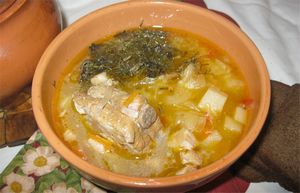 Щи из свежей капусты: вкусные пошаговые рецепты приготовления супа с фото