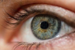 Синдром сухого глаза: жалобы, диагностика, лечение