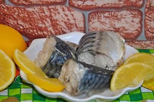 Скумбрия — аппетитная и полезная рыбка на нашем столе